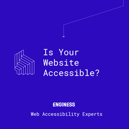 Web Accessibility Consulting